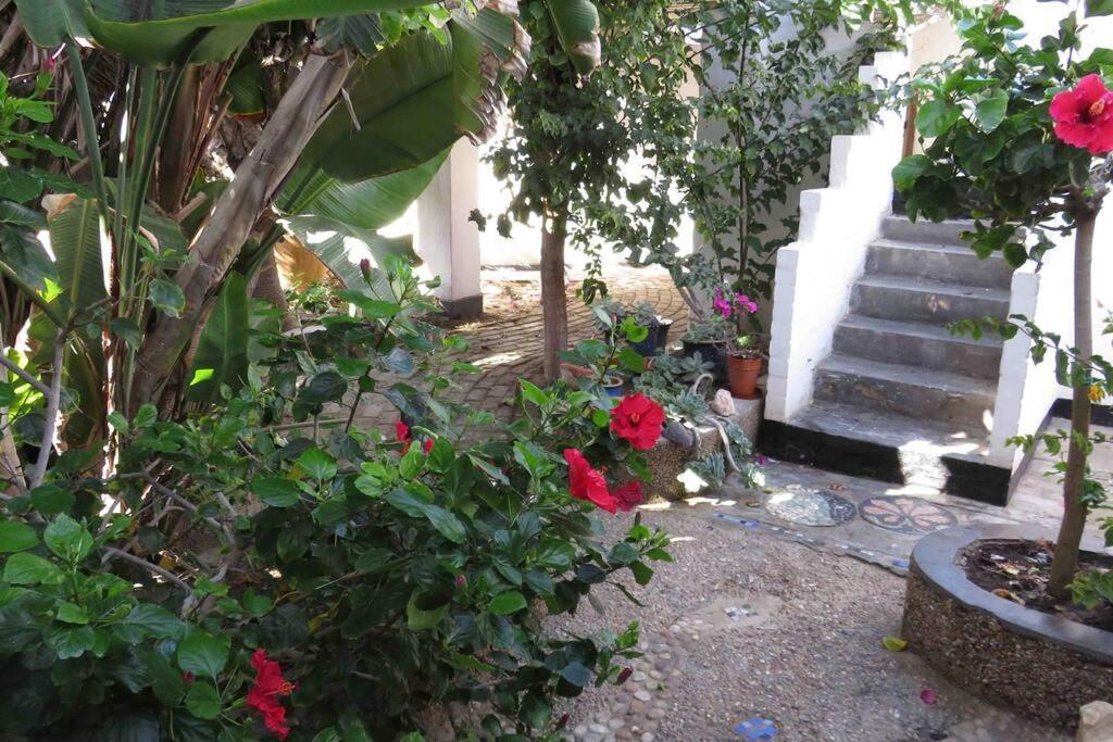Alternative Space B & B Swakopmund Zewnętrze zdjęcie
