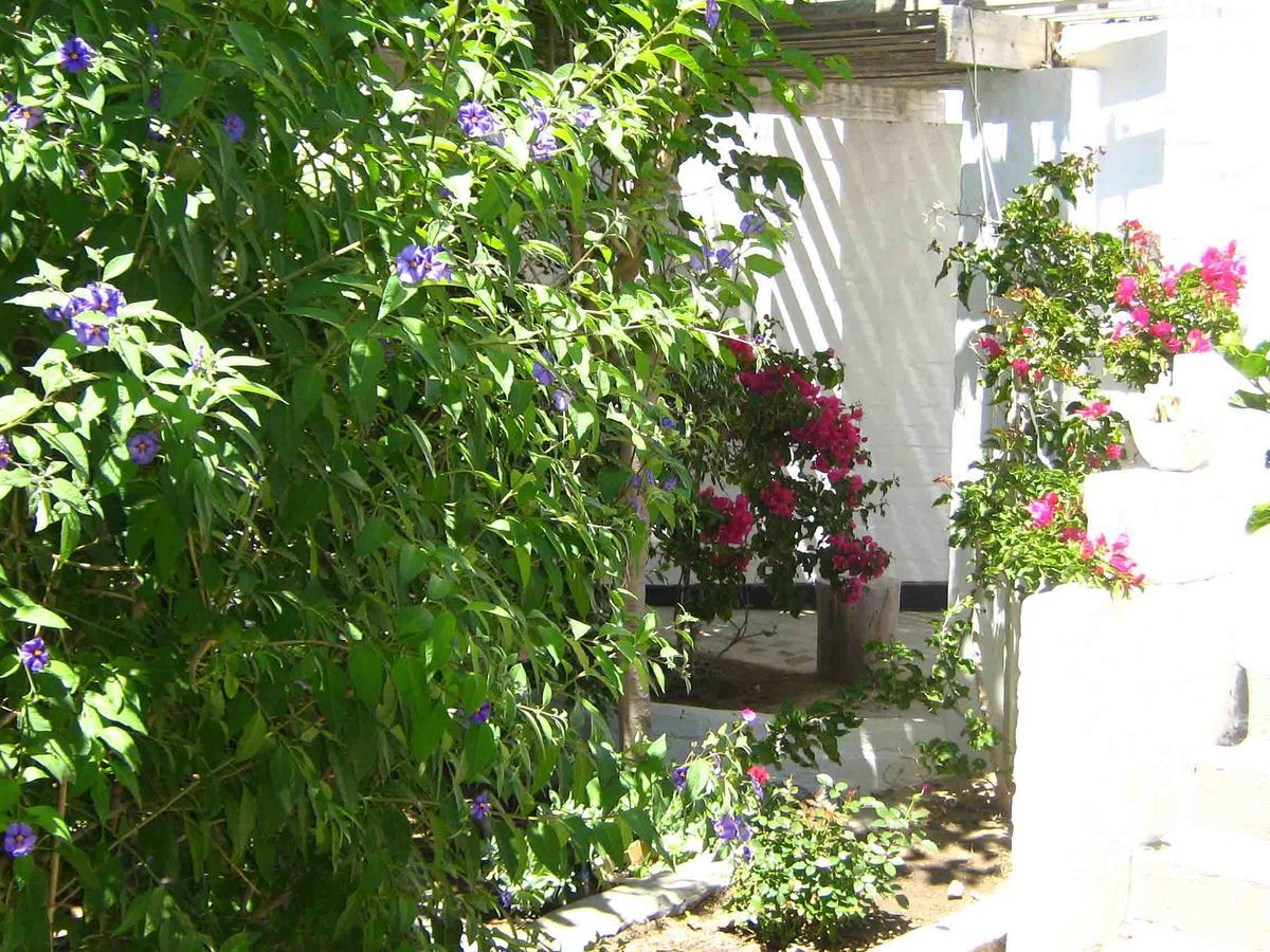 Alternative Space B & B Swakopmund Zewnętrze zdjęcie